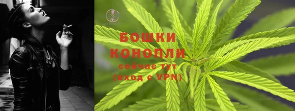 индика Вяземский