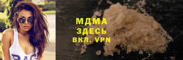 индика Вяземский