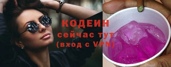 индика Вяземский