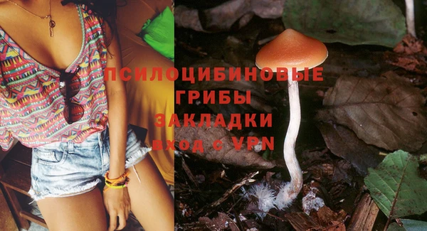 индика Вяземский