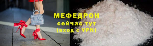 индика Вяземский
