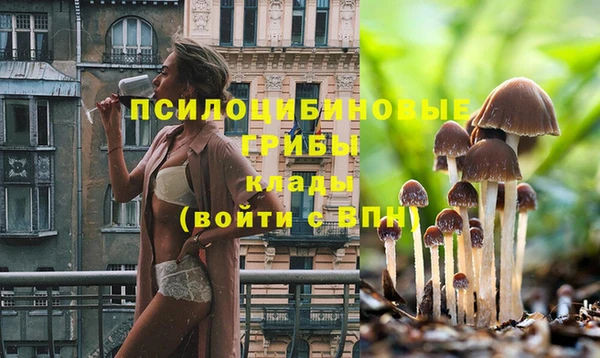 индика Вяземский