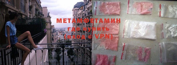 индика Вяземский
