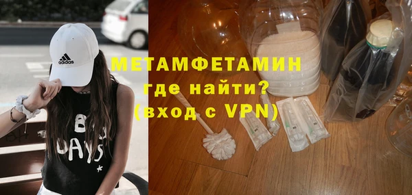 индика Вяземский