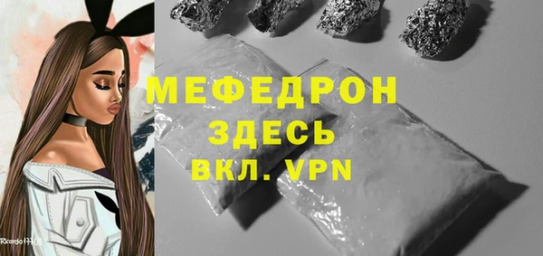 индика Вяземский