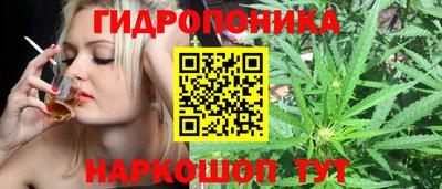 гидра Балахна