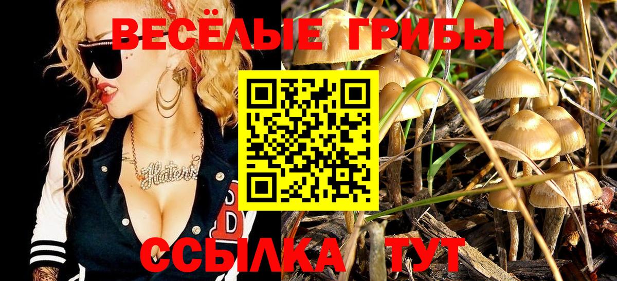 Галлюциногенные грибы прущие грибы Воткинск