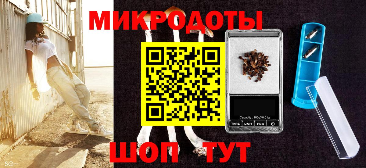 Псилоцибиновые грибы Psilocybe  Воткинск 