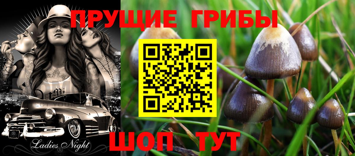 Галлюциногенные грибы Psilocybe  Псилоцибиновые грибы Cubensis  закладки  Воткинск  Вход с VPN 